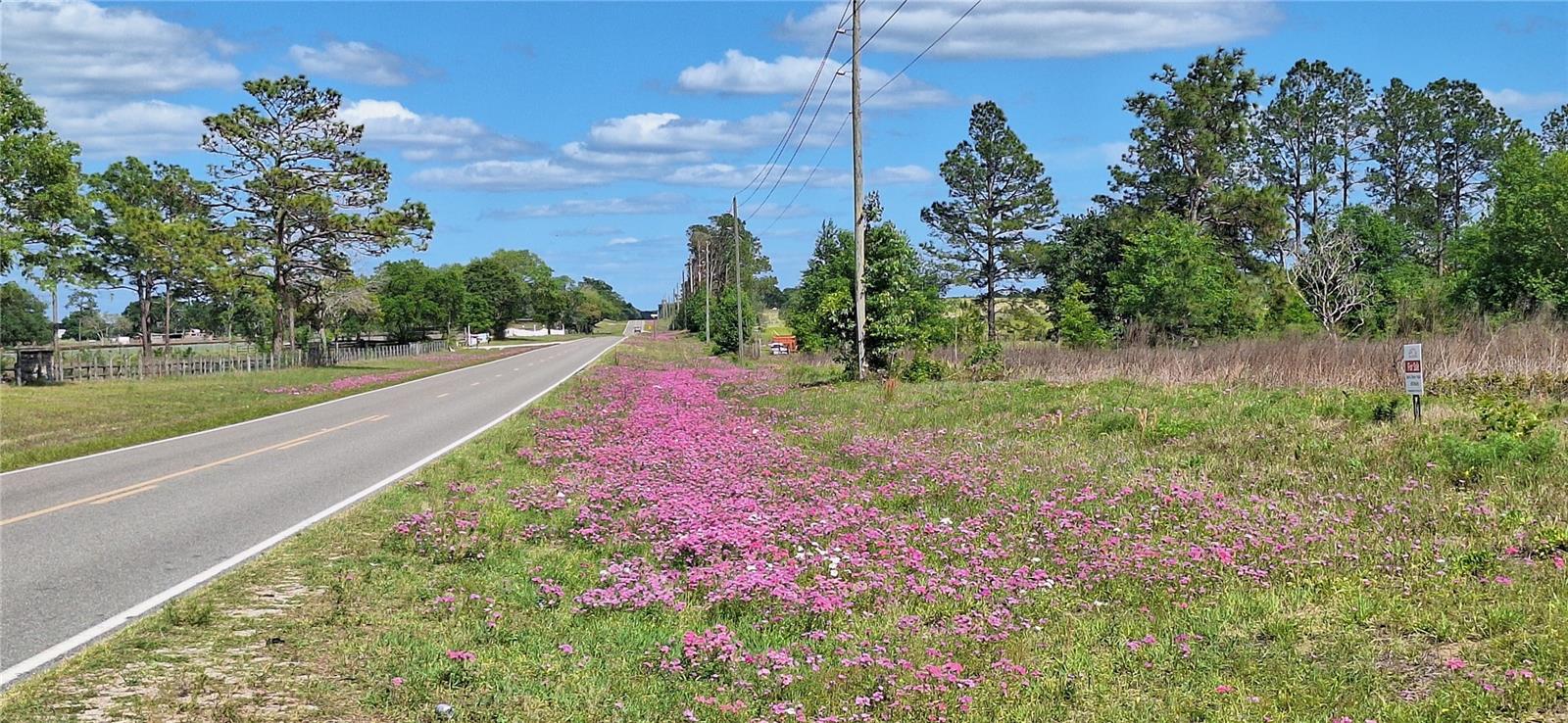 SE 60TH STREET, MORRISTON, FL, 32668