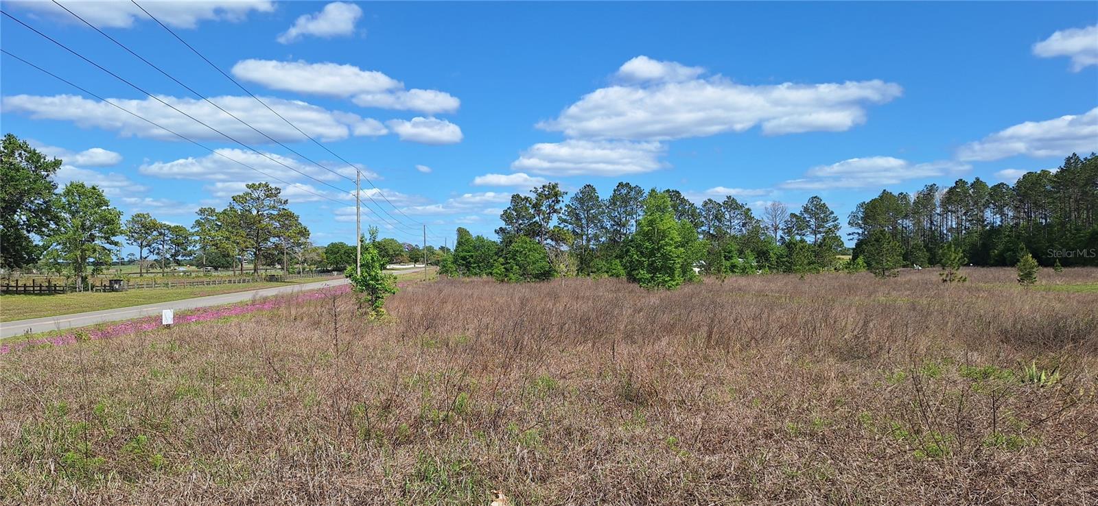 SE 60TH STREET, MORRISTON, FL, 32668