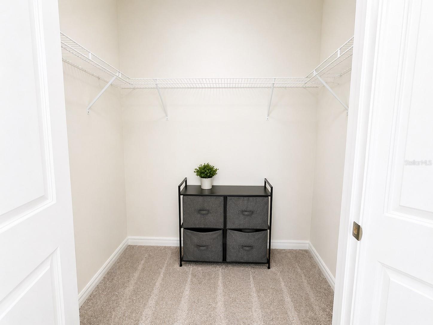 34350 REDWOOD DAWN LN, WESLEY CHAPEL, FL, 33543