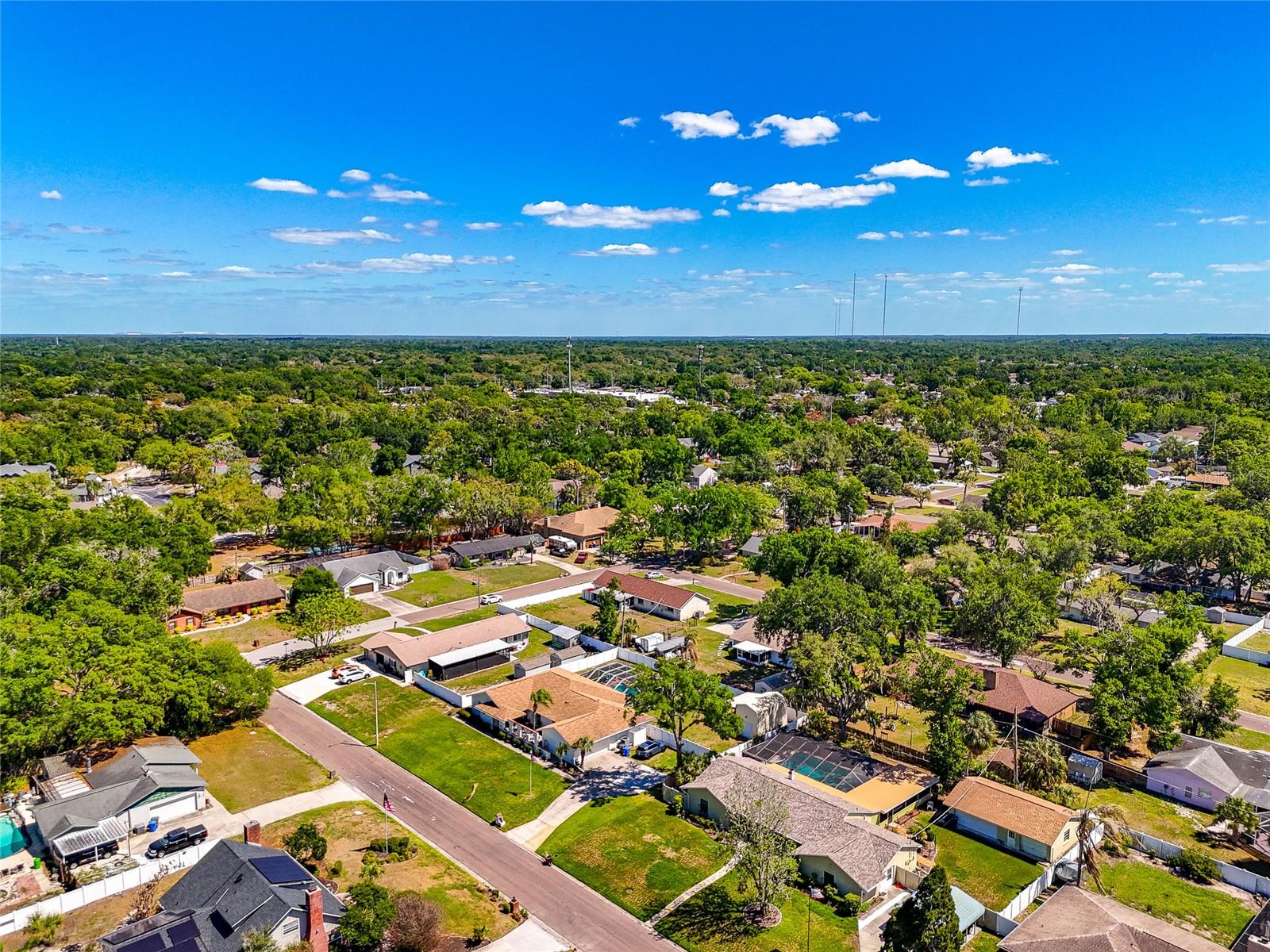 1403 VIOLA DR, BRANDON, FL, 33511