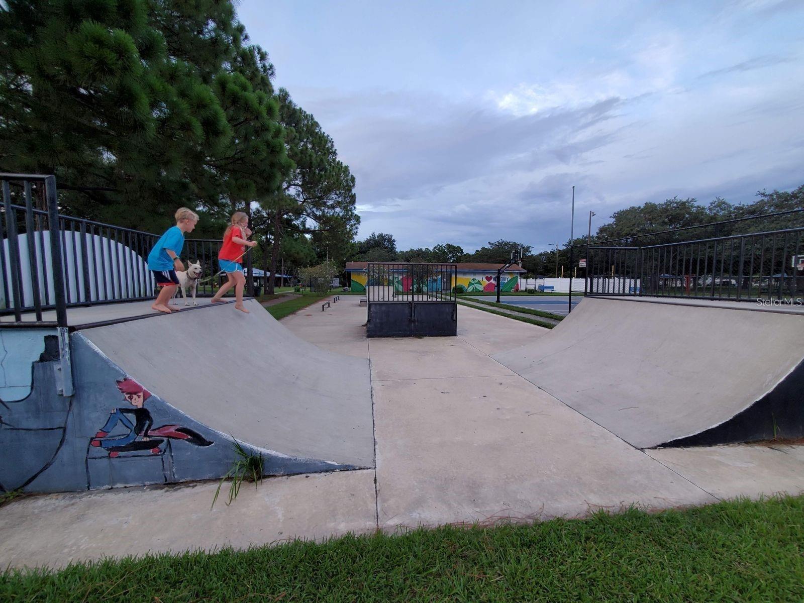 308 NE 10TH AVE, MULBERRY, FL, 33860