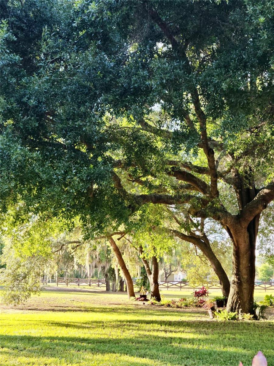 21289 COUNTY ROAD 455, CLERMONT, FL, 34715