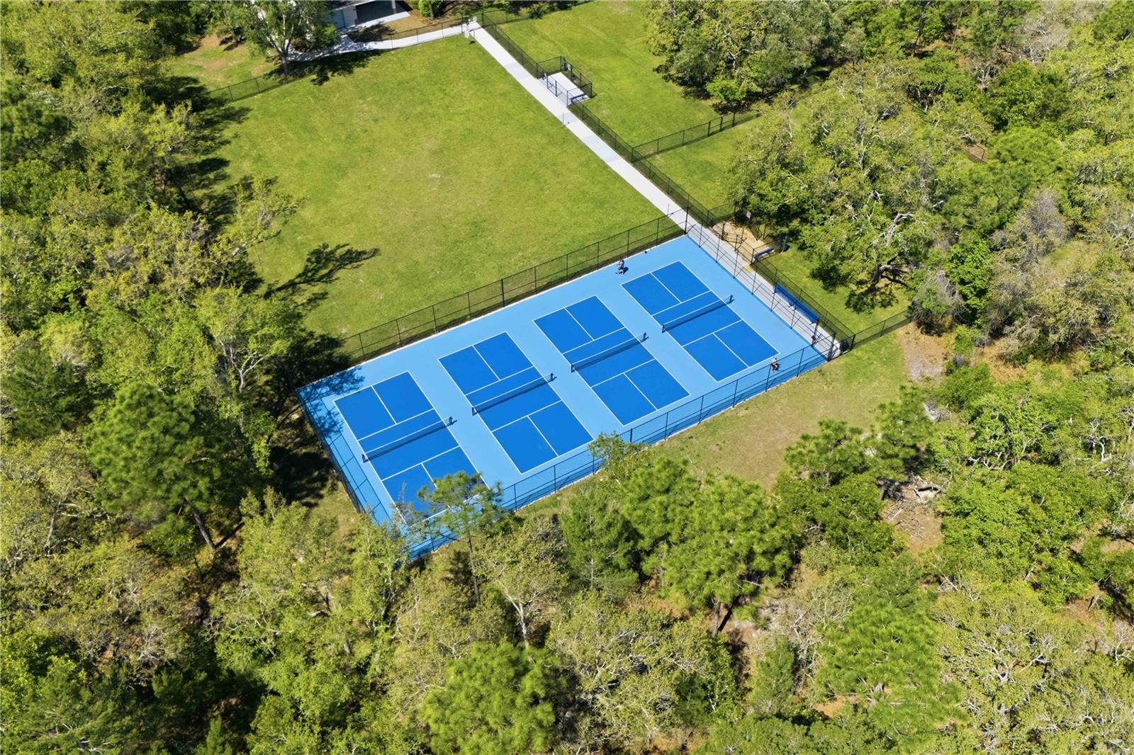 13755 COVEY RUN PL, SPRING HILL, FL, 34609