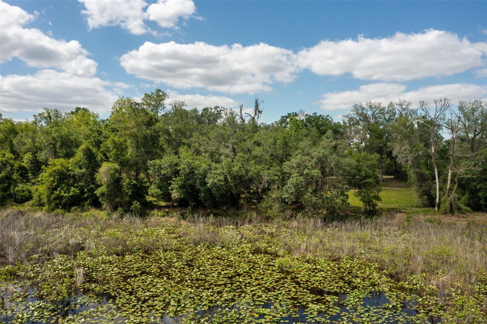 0 KENYON DR, WEBSTER, FL, 33597