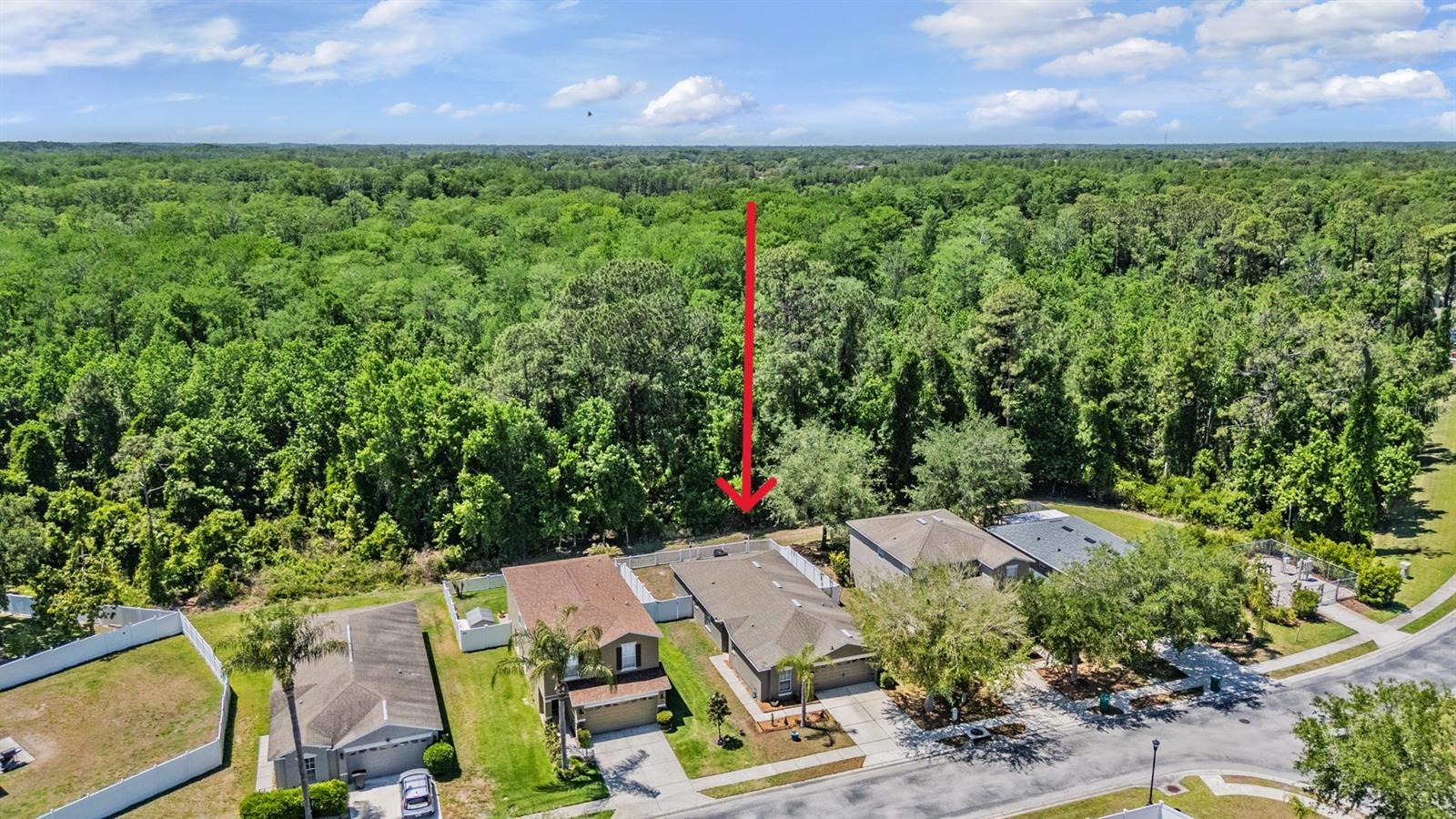 12715 WHITE BLUFF RD, HUDSON, FL, 34669