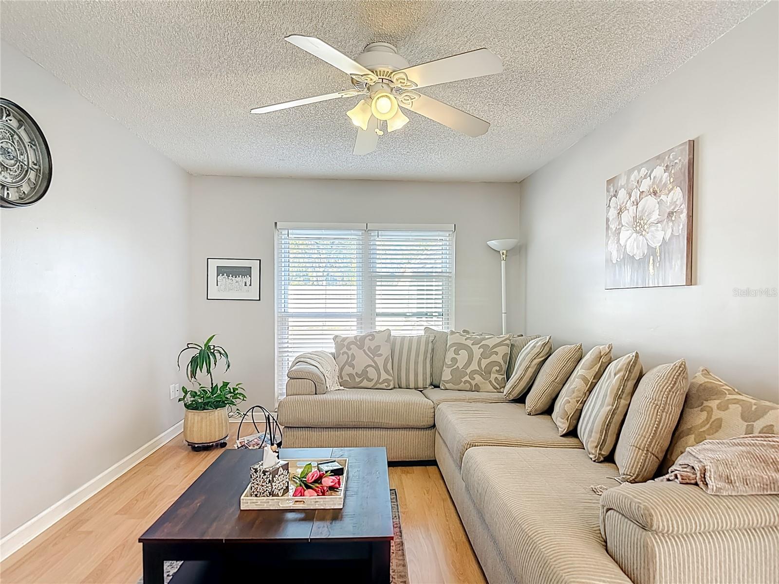 3729 SAND PEBBLE DR, VALRICO, FL, 33596