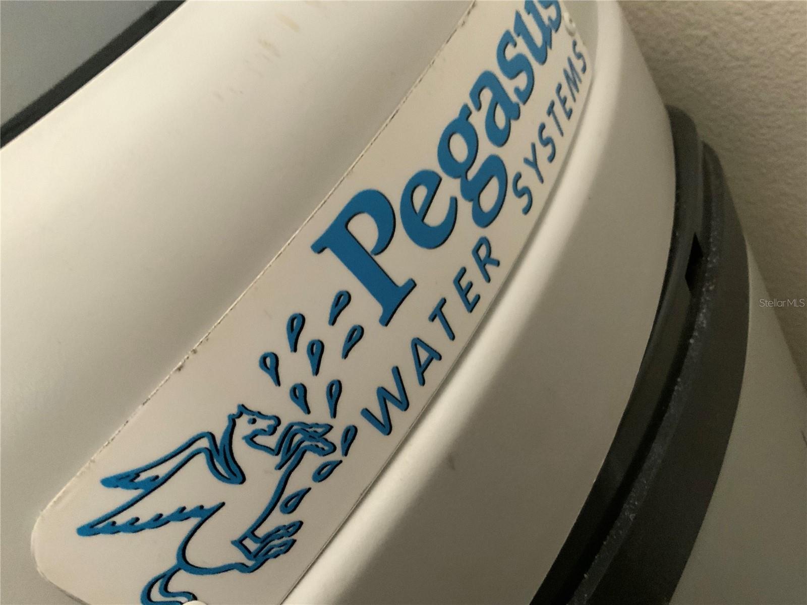 2334 ROSE ARBOR ST, THE VILLAGES, FL, 32163