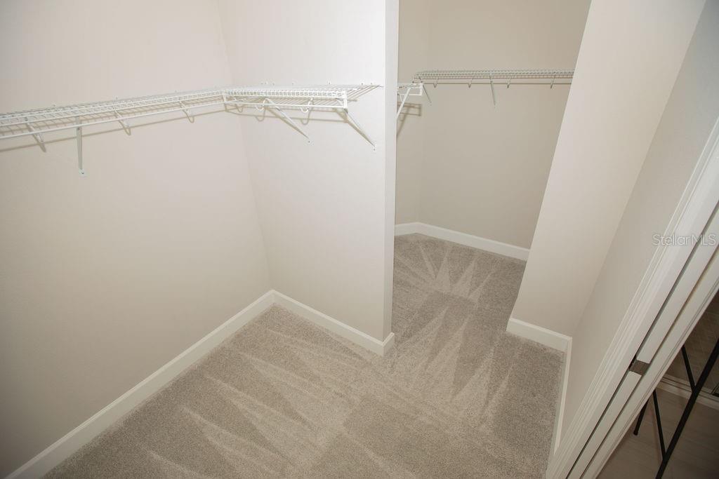 4605 ROSATTI RD, WESLEY CHAPEL, FL, 33543