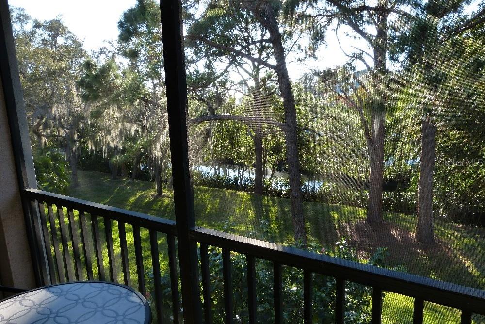 1610 SEASCAPE CIR #1610, TARPON SPRINGS, FL, 34689