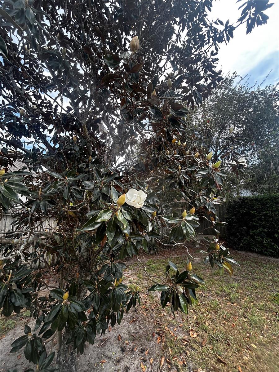 5632 MARIWOOD DR, ORLANDO, FL, 32810