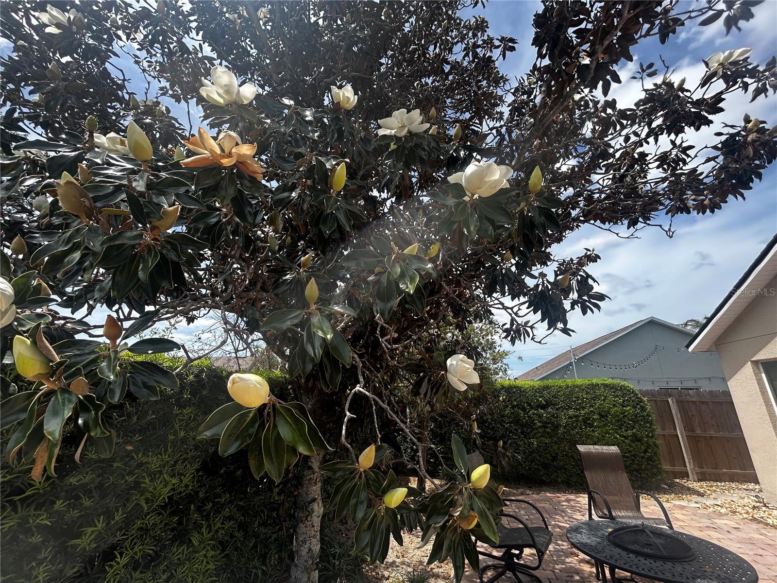 5632 MARIWOOD DR, ORLANDO, FL, 32810