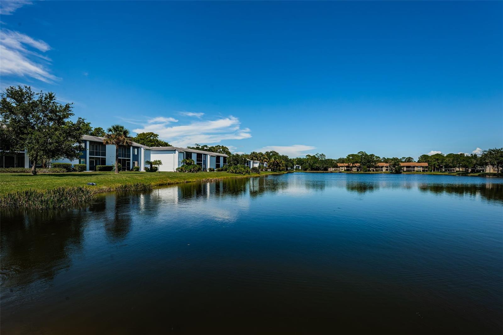 207 WOODLAKE WYNDE #207, OLDSMAR, FL, 34677
