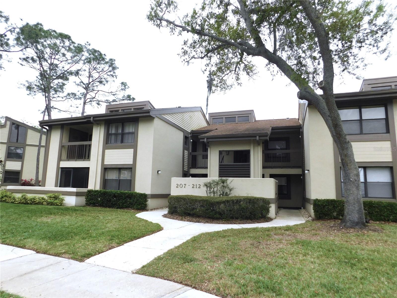 207 WOODLAKE WYNDE #207, OLDSMAR, FL, 34677