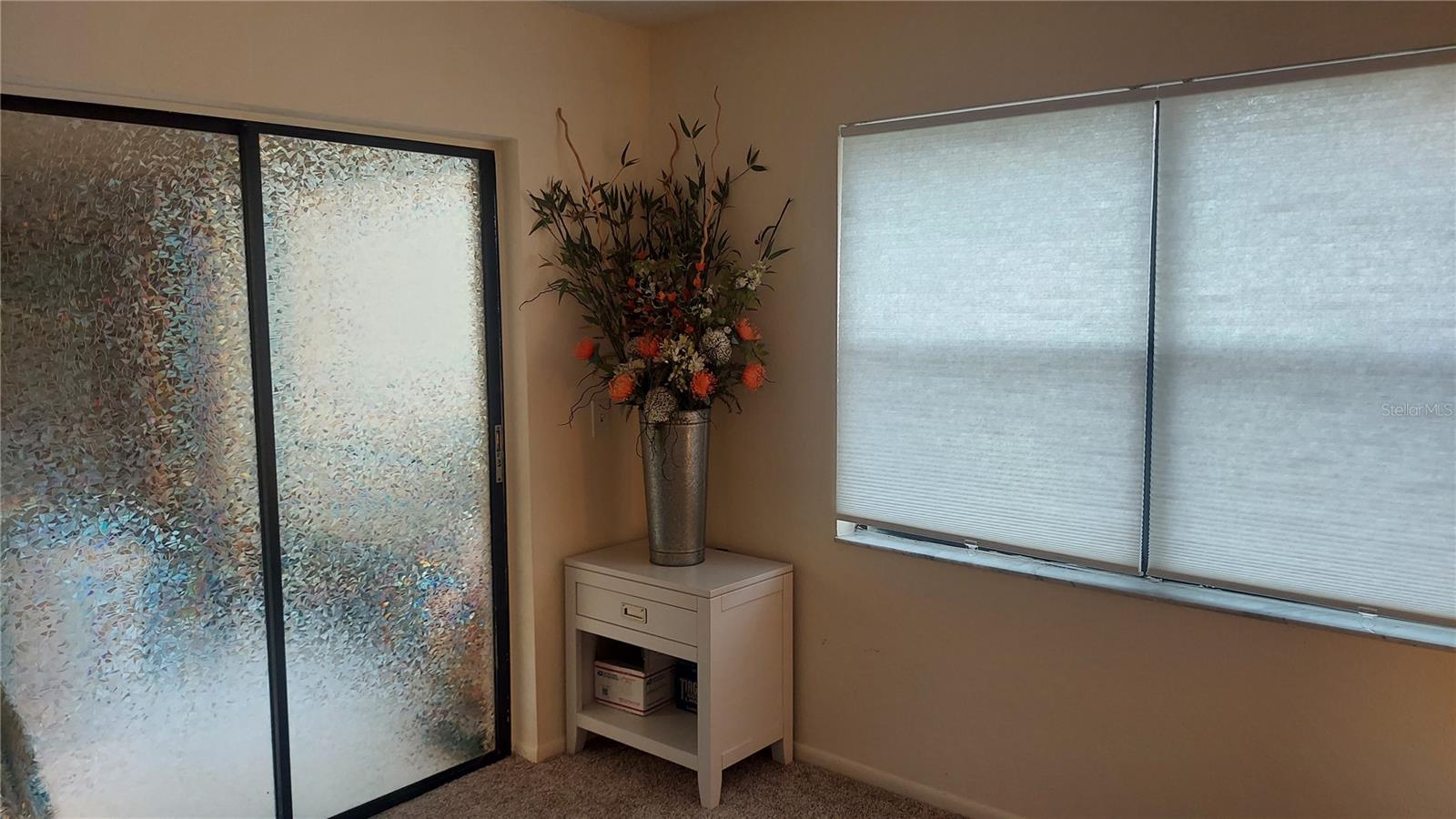 207 WOODLAKE WYNDE #207, OLDSMAR, FL, 34677