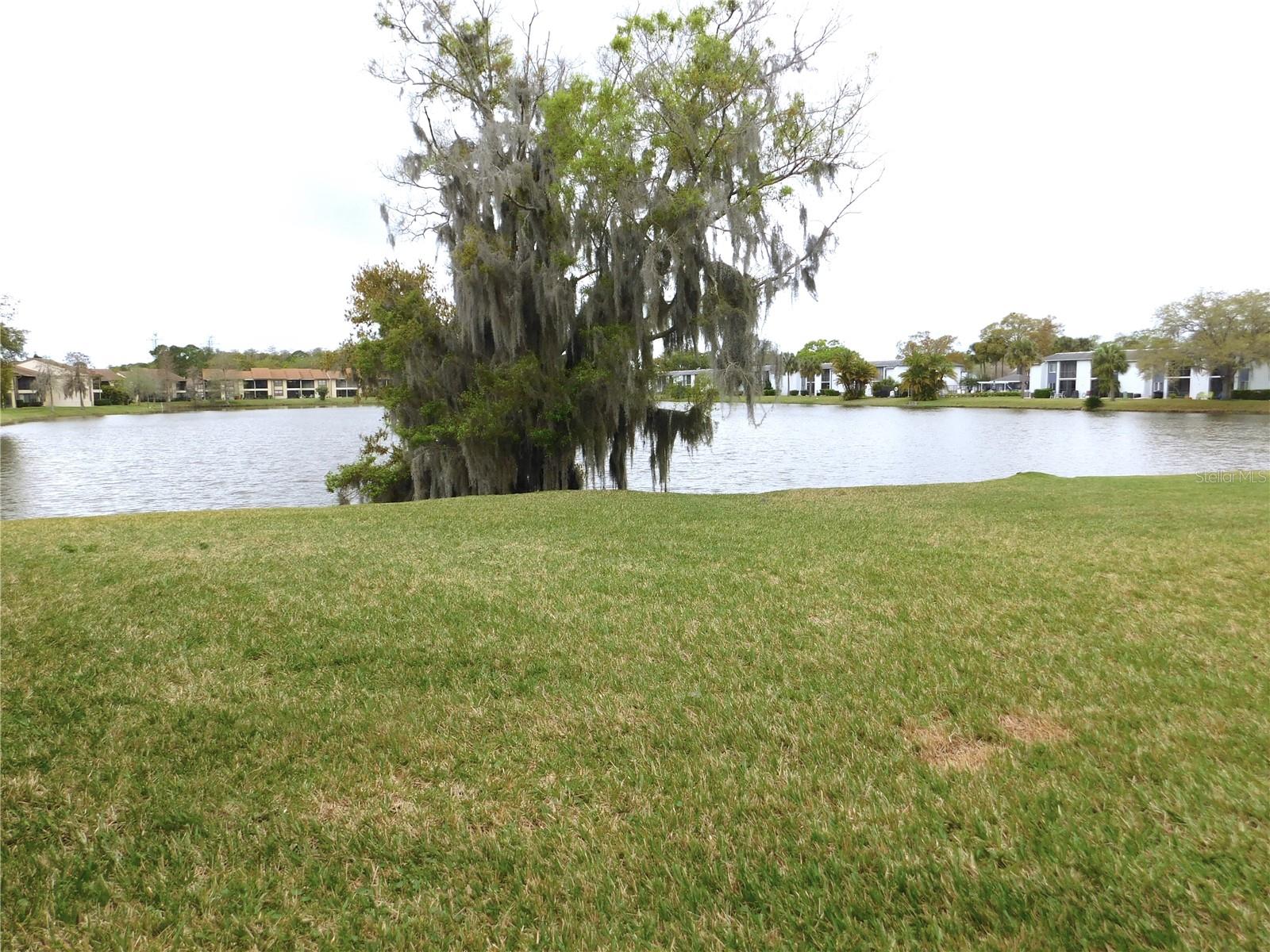 207 WOODLAKE WYNDE #207, OLDSMAR, FL, 34677