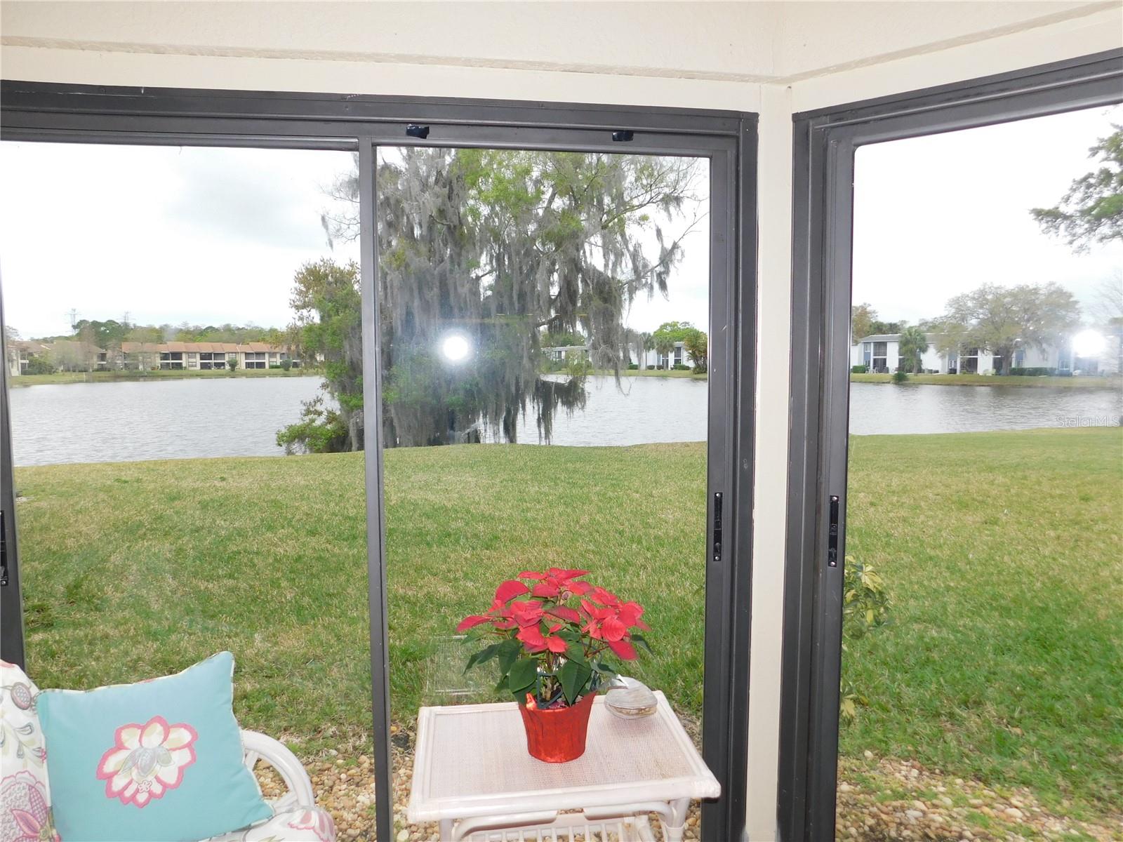 207 WOODLAKE WYNDE #207, OLDSMAR, FL, 34677