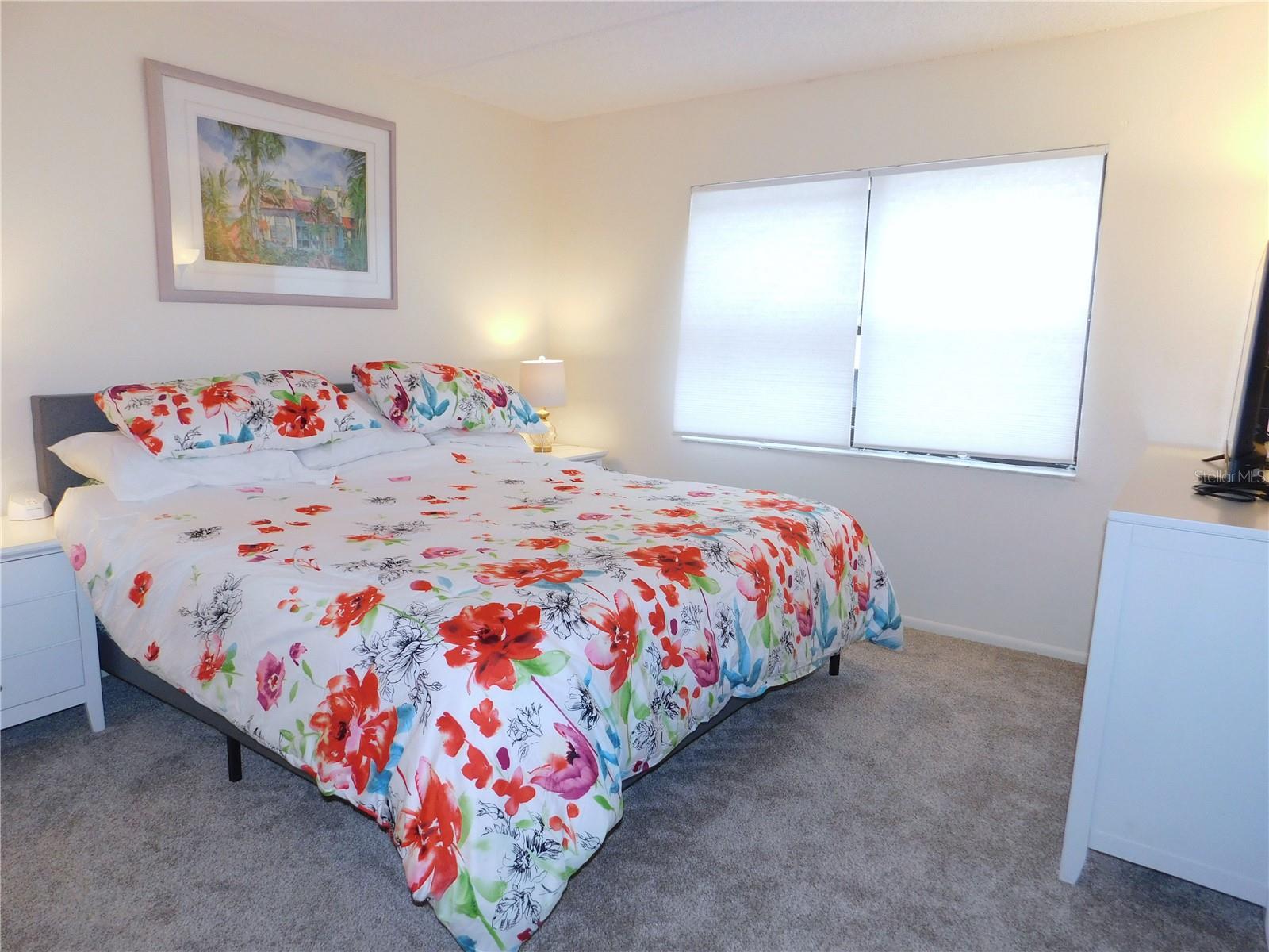 207 WOODLAKE WYNDE #207, OLDSMAR, FL, 34677