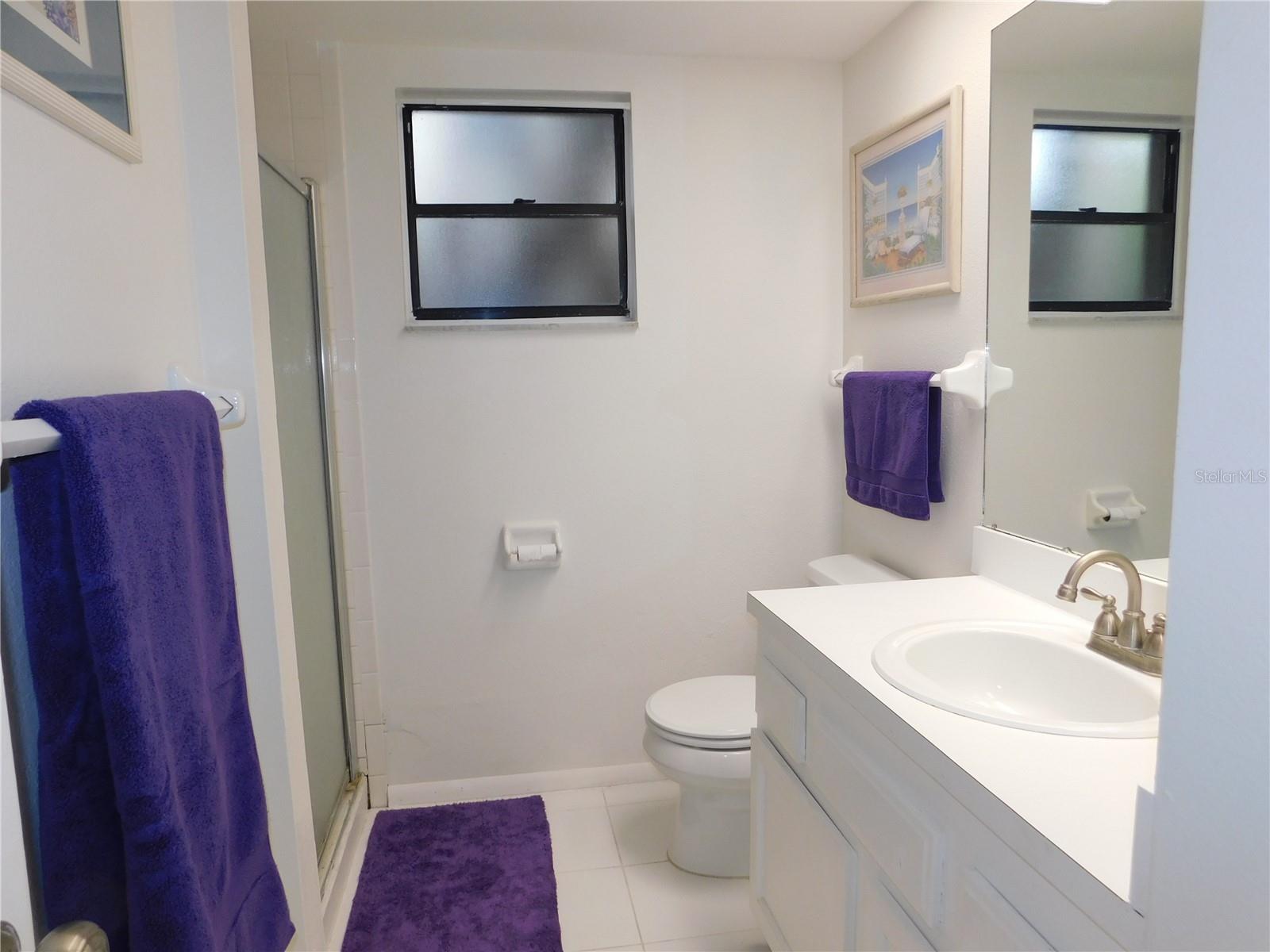 207 WOODLAKE WYNDE #207, OLDSMAR, FL, 34677