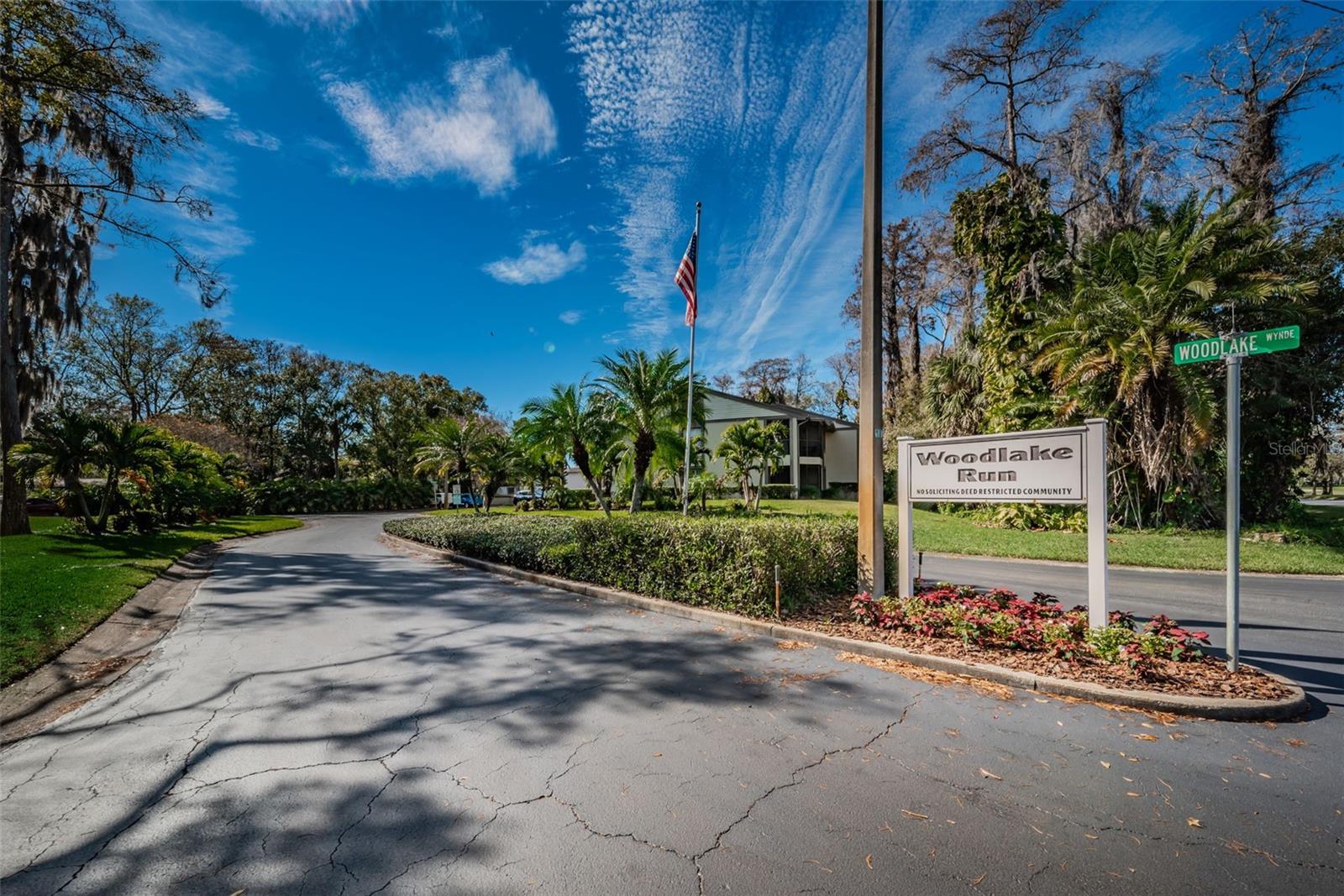 207 WOODLAKE WYNDE #207, OLDSMAR, FL, 34677