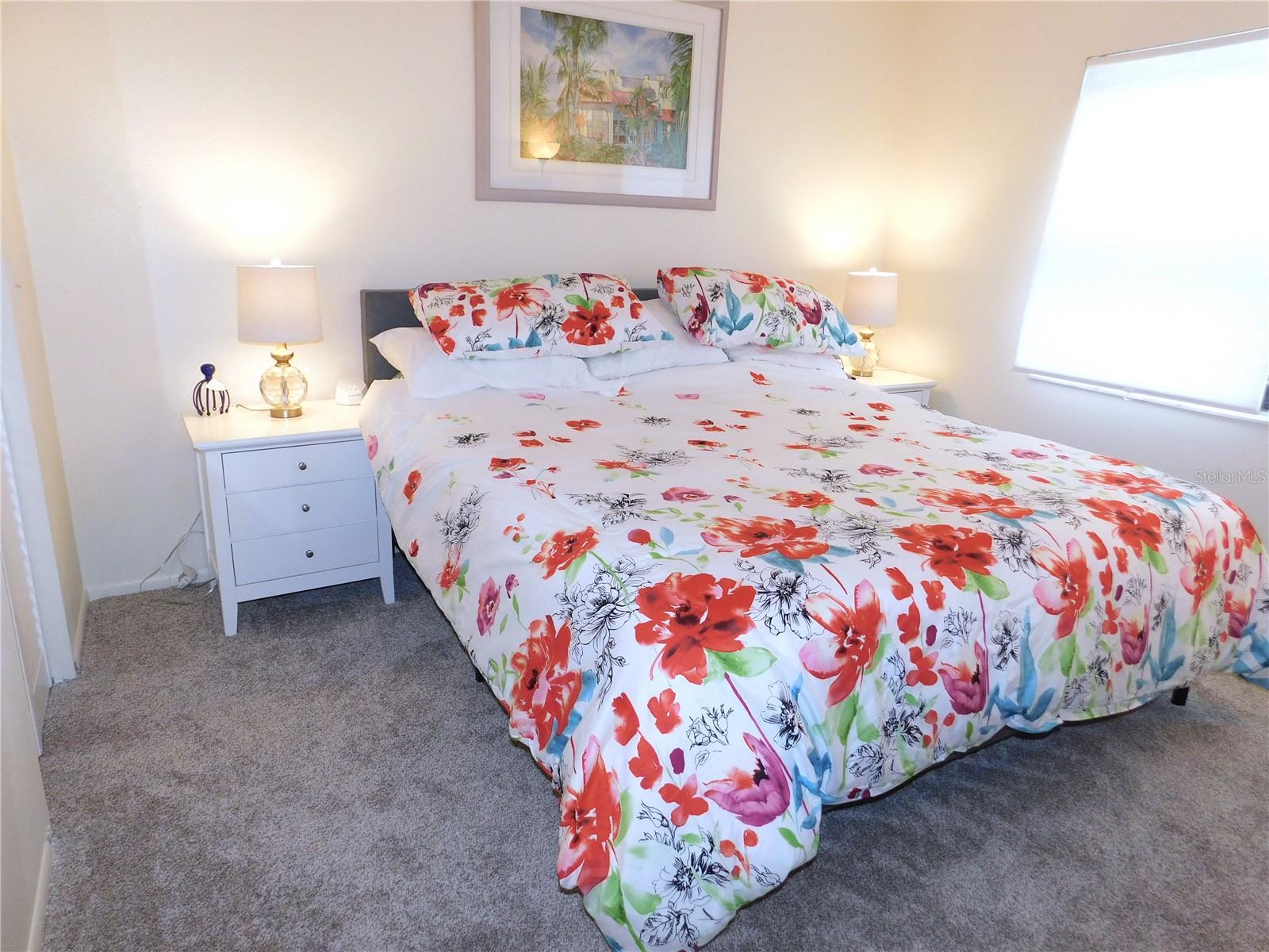 207 WOODLAKE WYNDE #207, OLDSMAR, FL, 34677