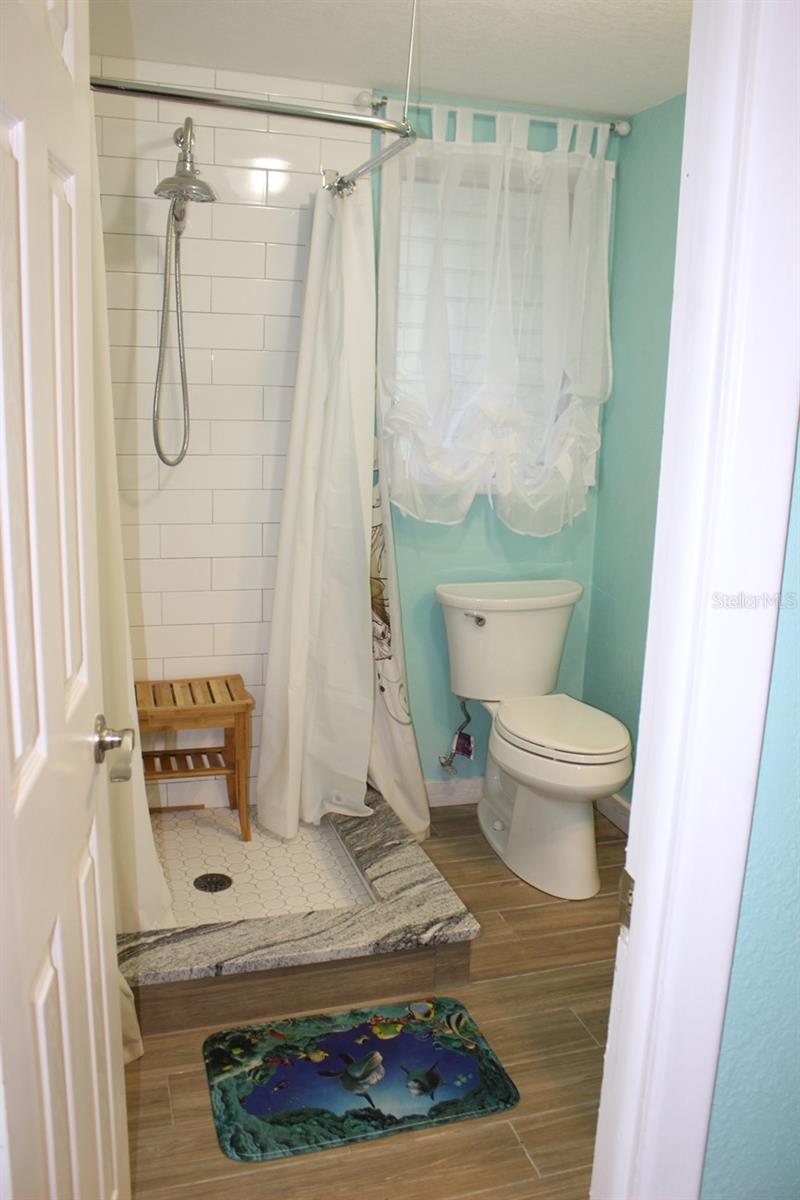 658 ROANOKE ST, DUNEDIN, FL, 34698