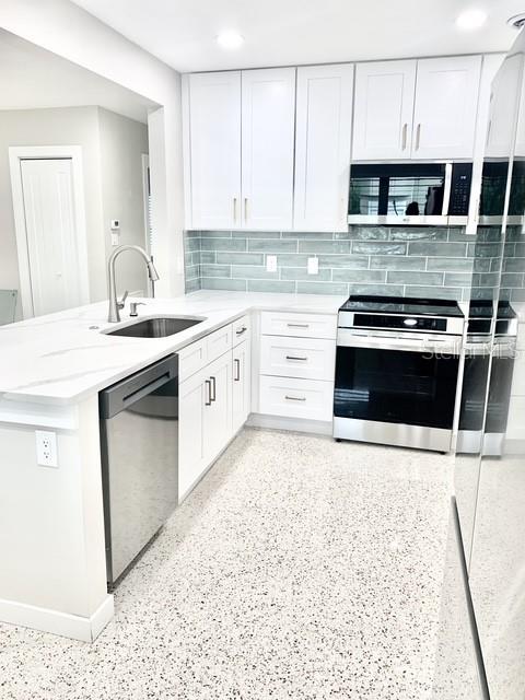 2472 CORONADO WAY, DUNEDIN, FL, 34698