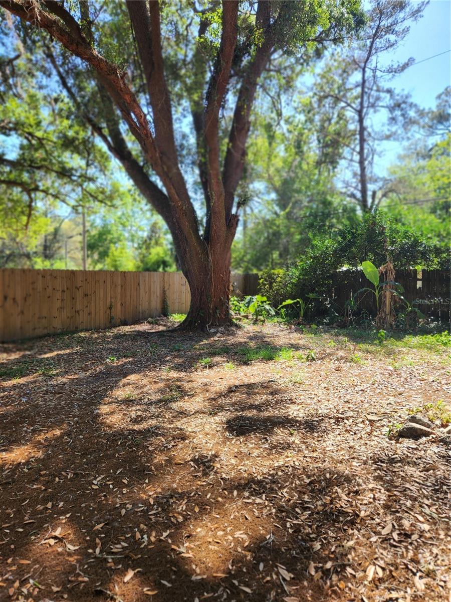 2822 NE 16TH DR, GAINESVILLE, FL, 32609