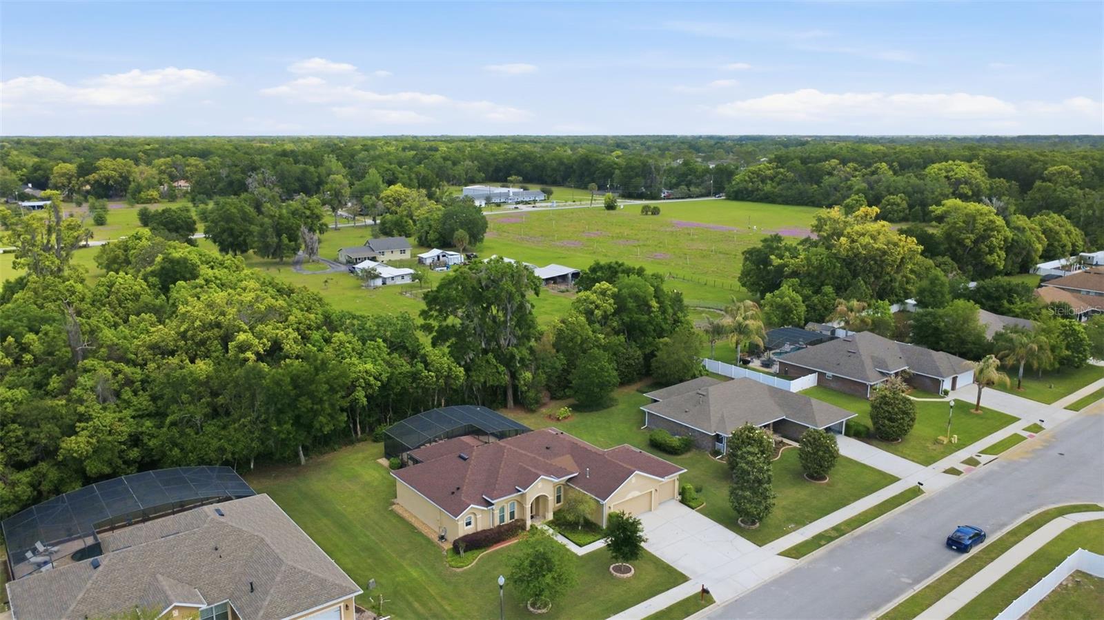 832 DEER FERN AVE, DELAND, FL, 32720