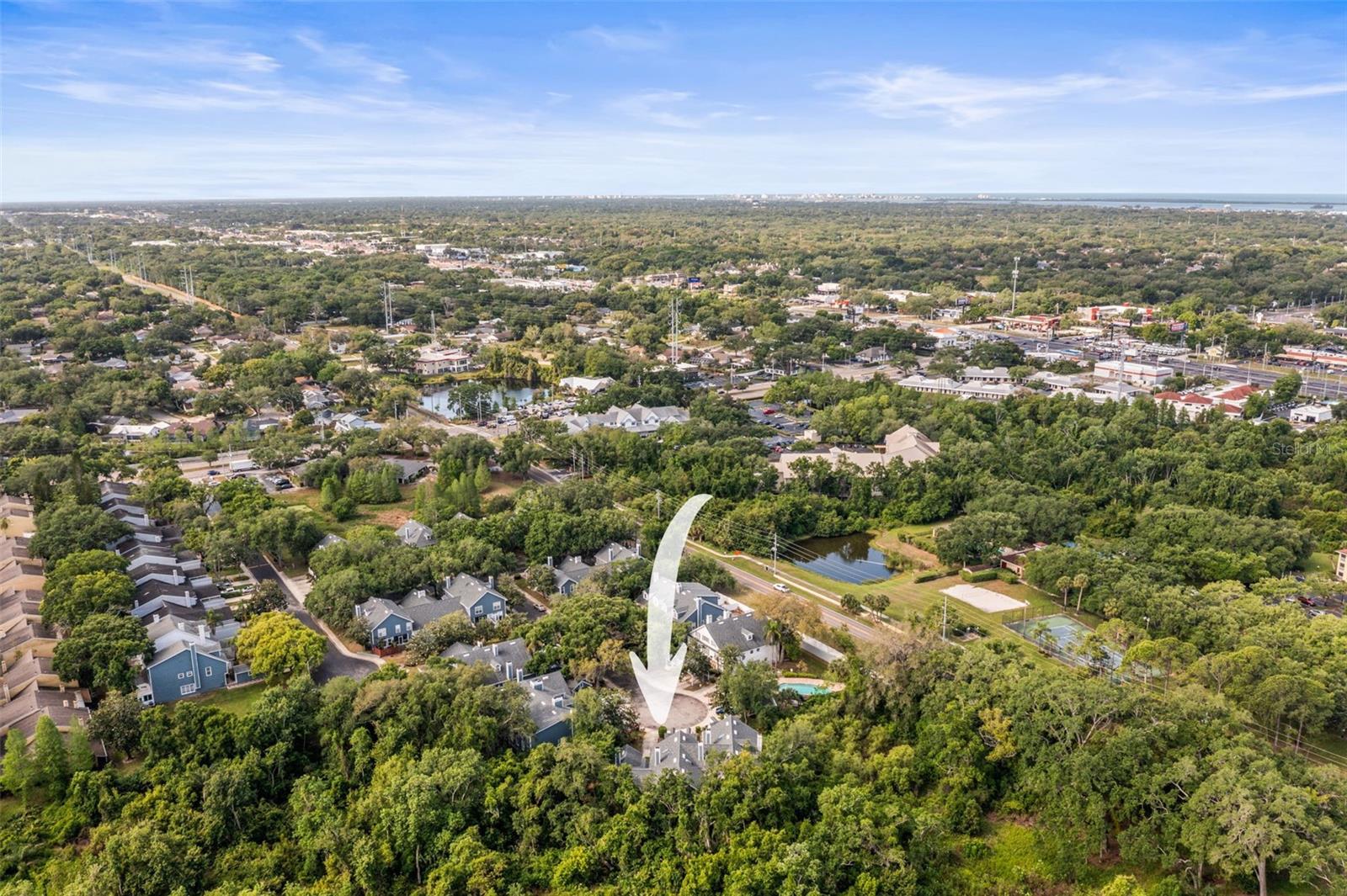 312 WINCHESTER WAY, PALM HARBOR, FL, 34684