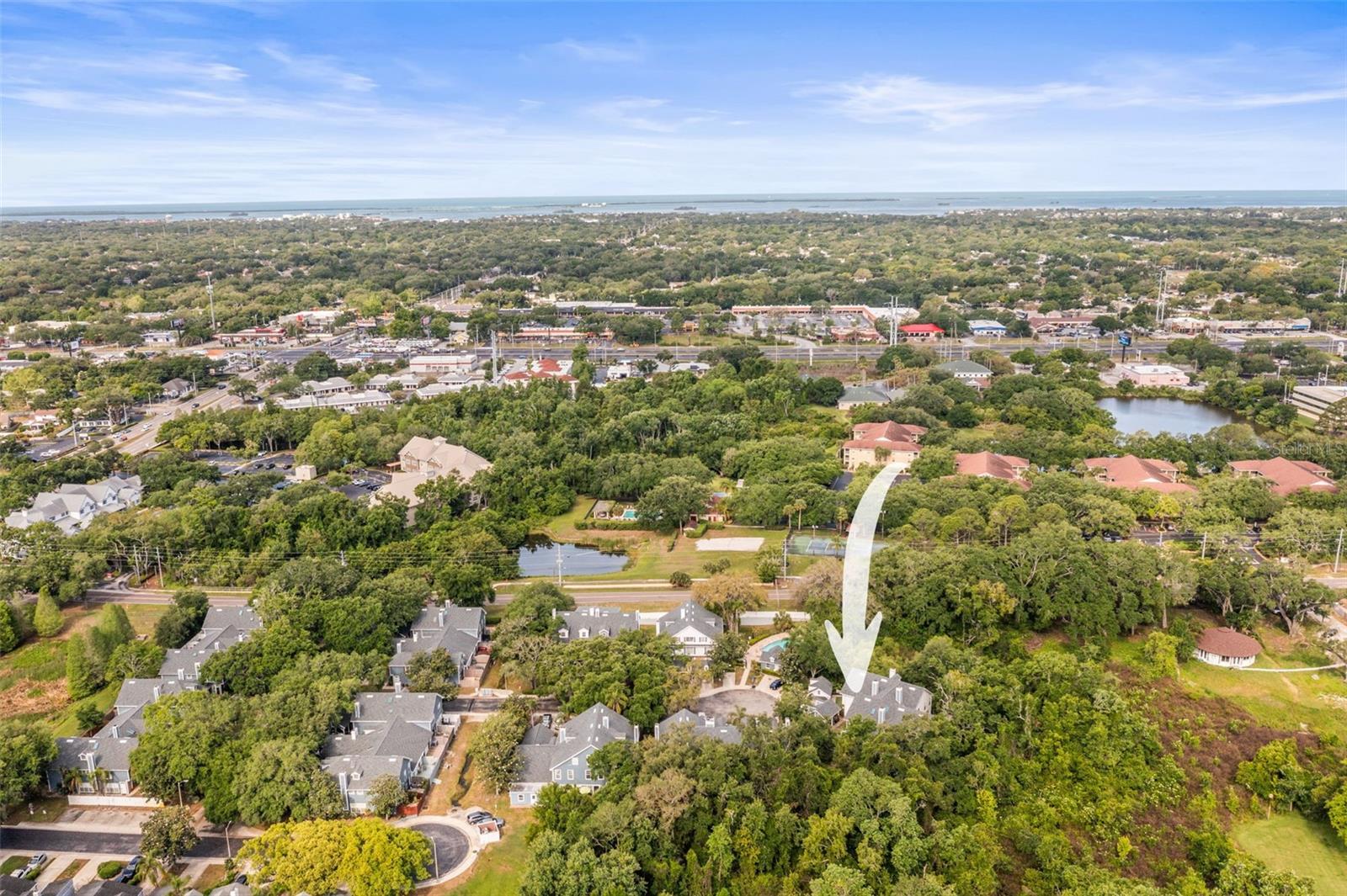 312 WINCHESTER WAY, PALM HARBOR, FL, 34684