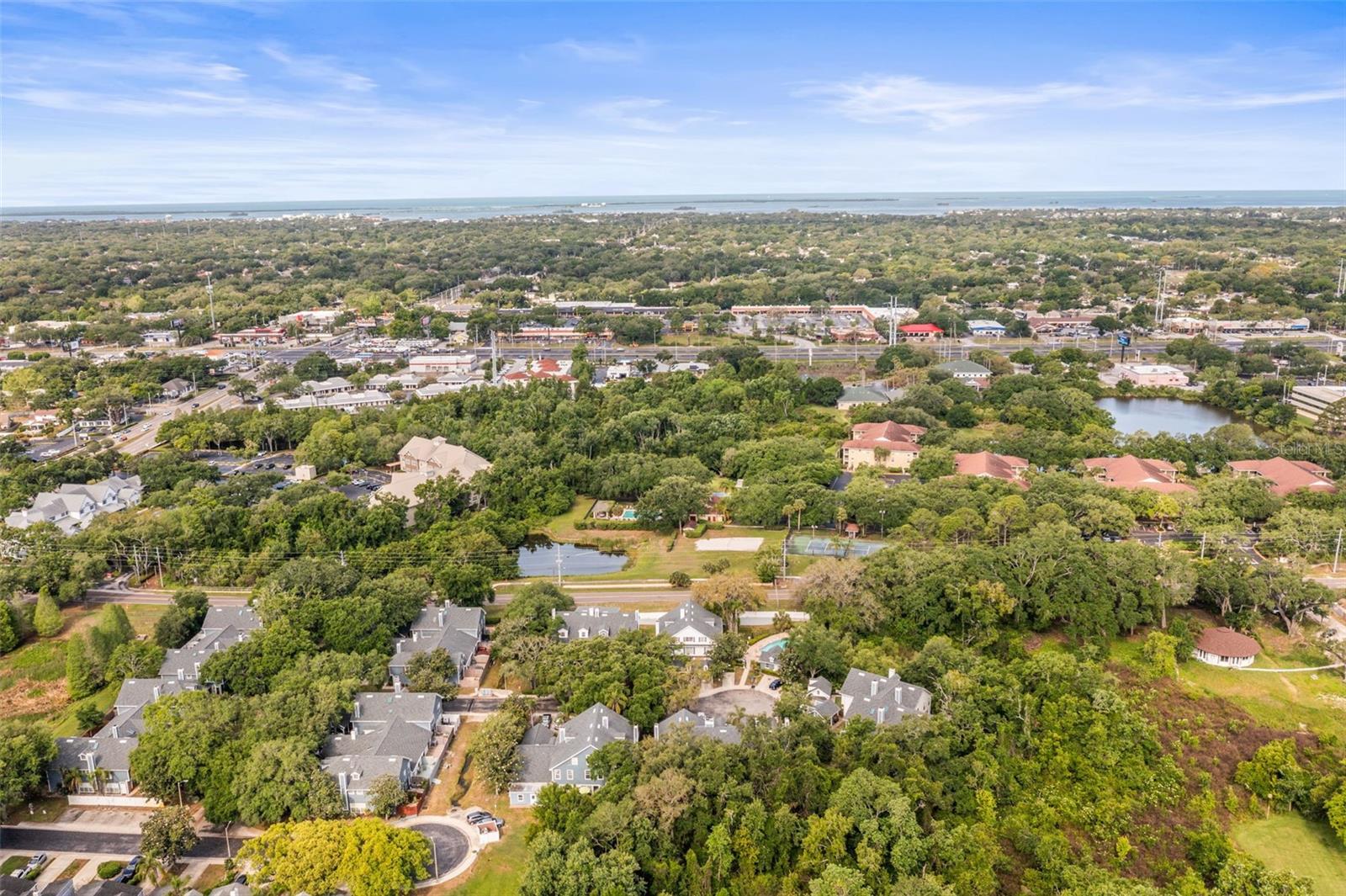 312 WINCHESTER WAY, PALM HARBOR, FL, 34684