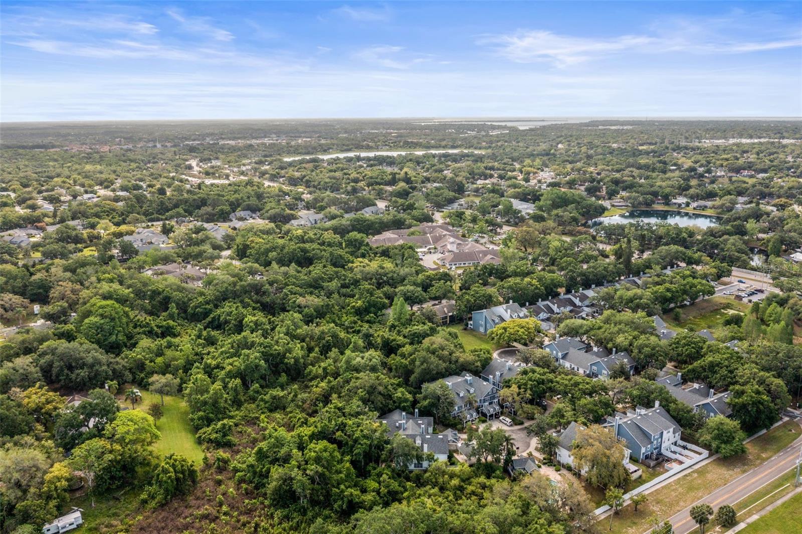 312 WINCHESTER WAY, PALM HARBOR, FL, 34684