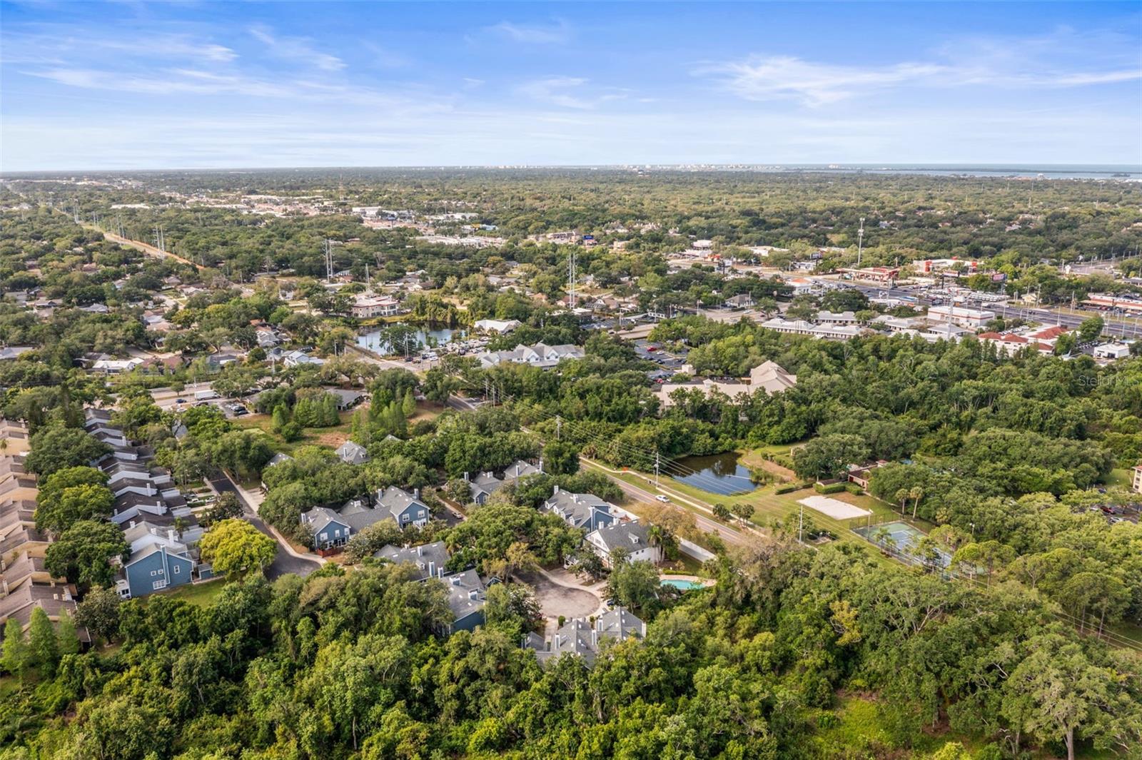 312 WINCHESTER WAY, PALM HARBOR, FL, 34684