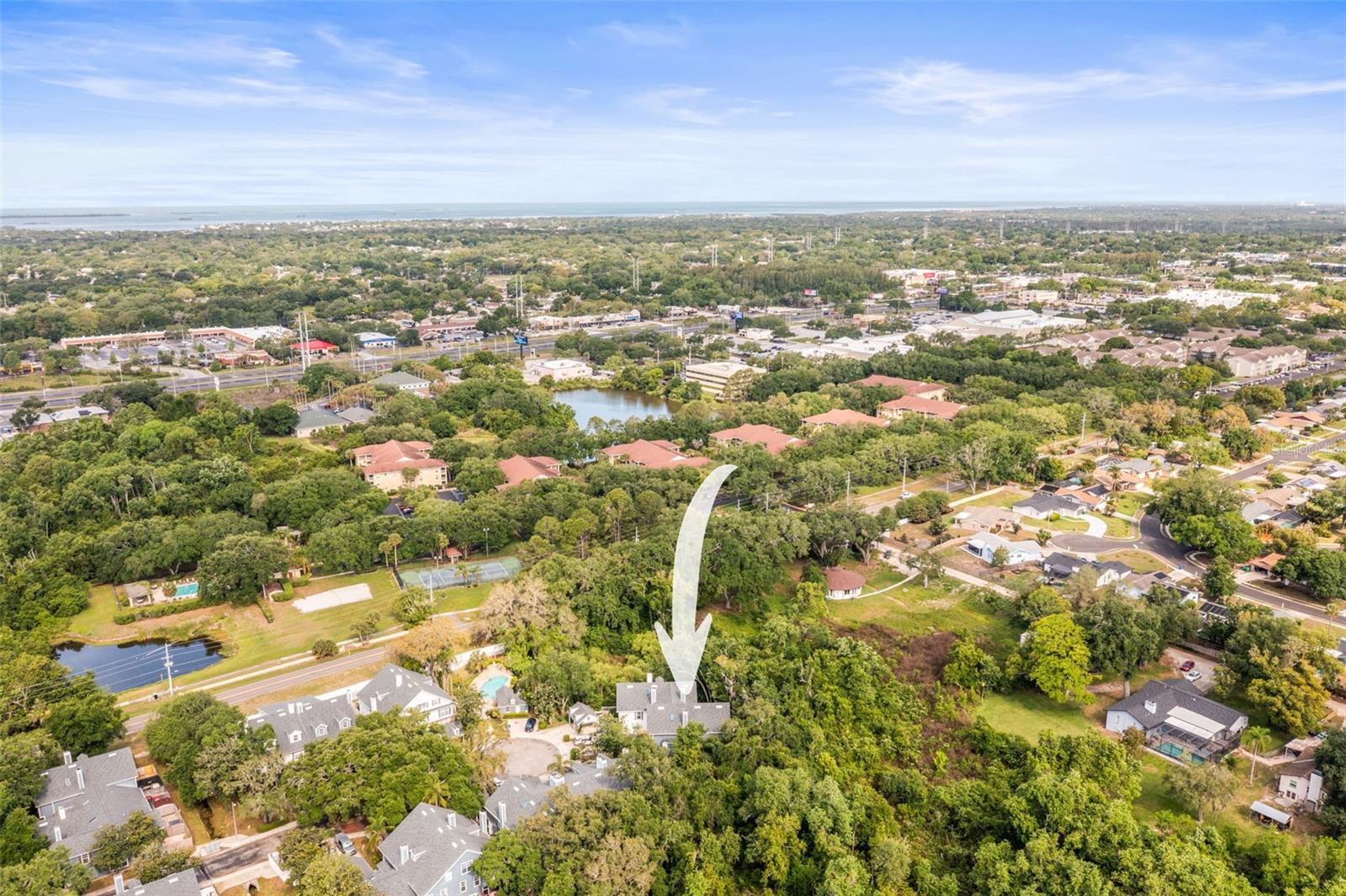 312 WINCHESTER WAY, PALM HARBOR, FL, 34684