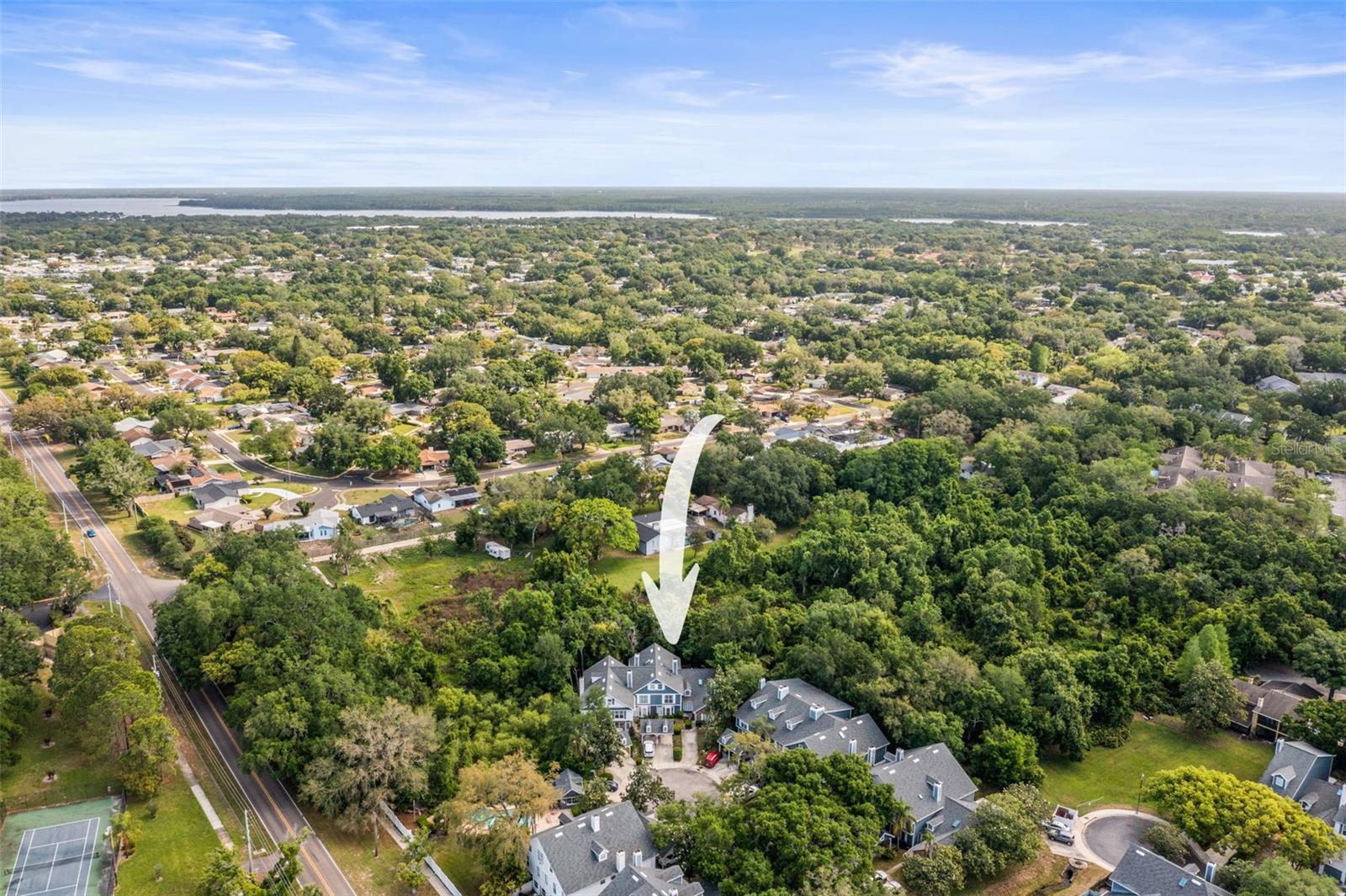 312 WINCHESTER WAY, PALM HARBOR, FL, 34684