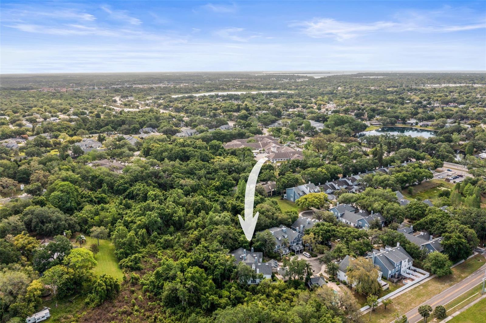 312 WINCHESTER WAY, PALM HARBOR, FL, 34684