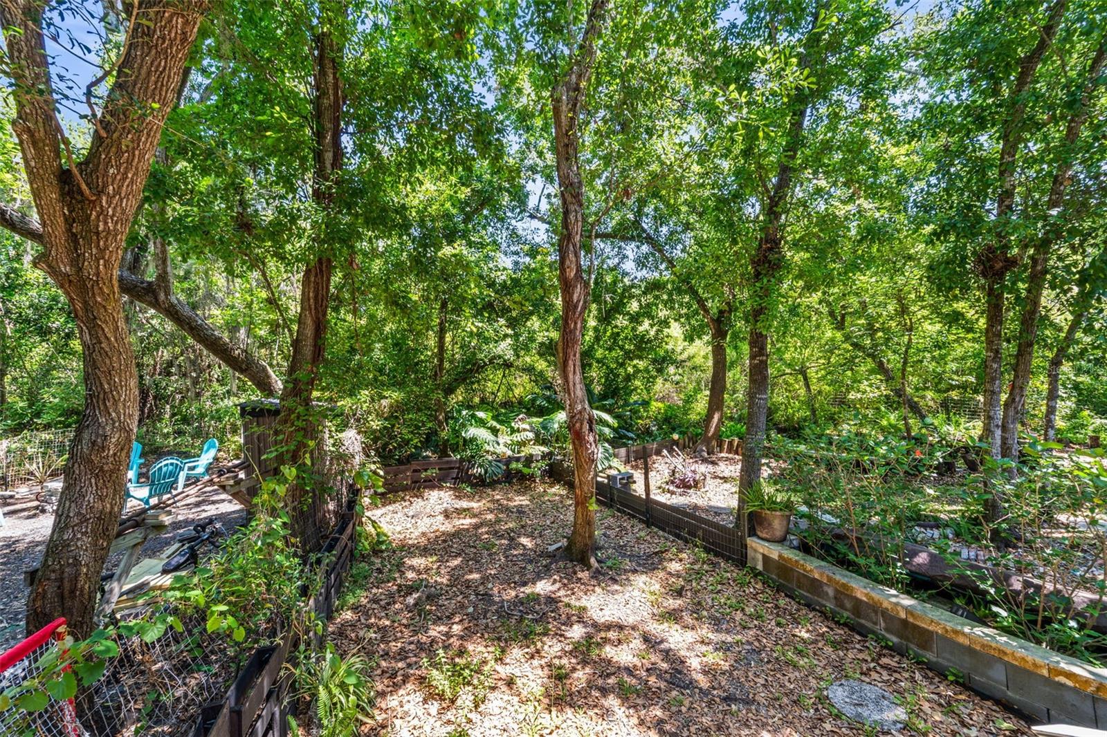 312 WINCHESTER WAY, PALM HARBOR, FL, 34684