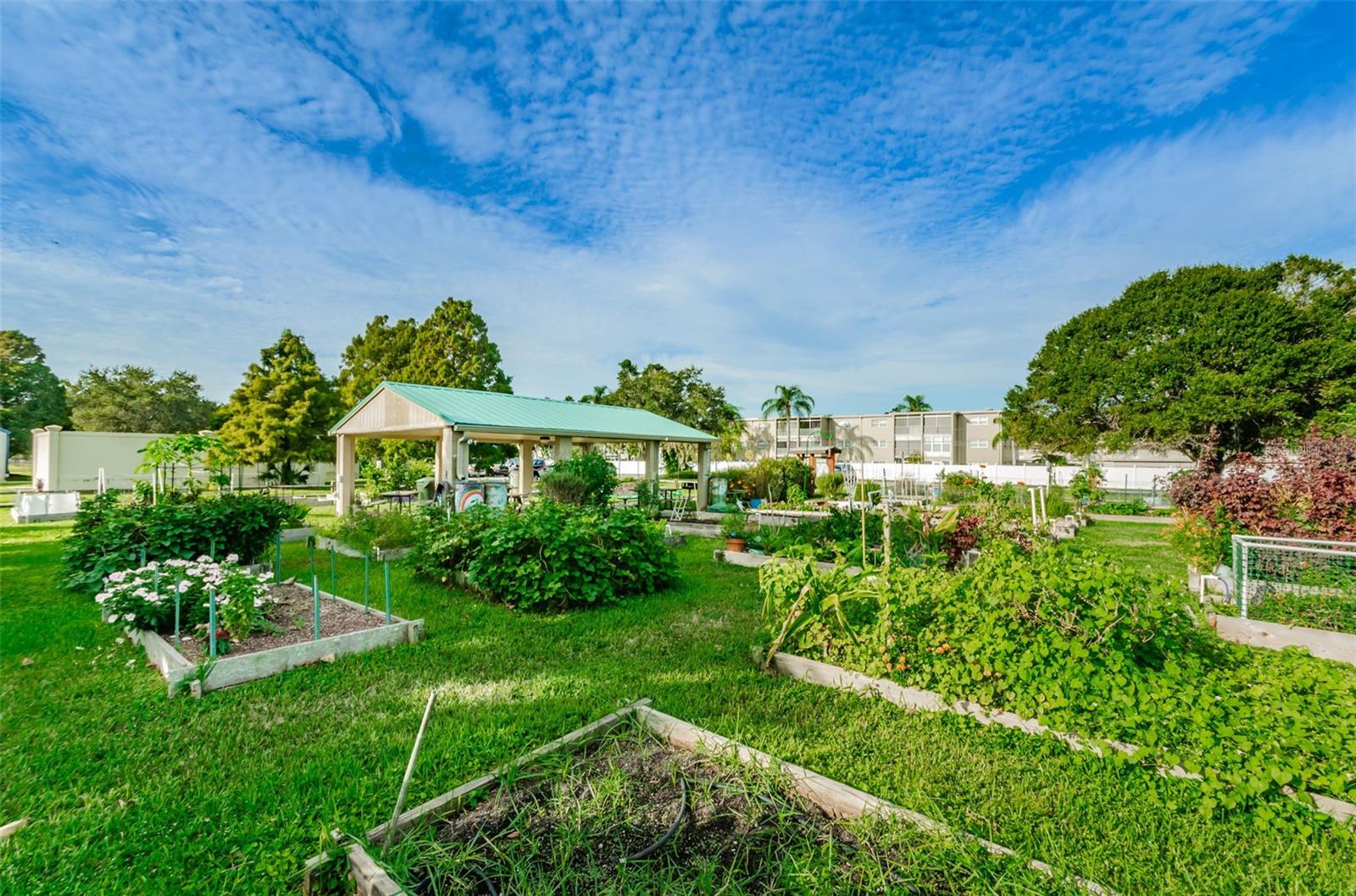 253 PARK CIR S, DUNEDIN, FL, 34698