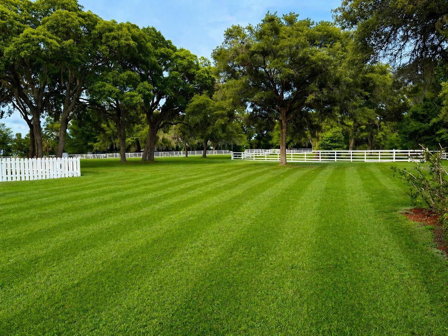 33015 SAHARA CT, SORRENTO, FL, 32776