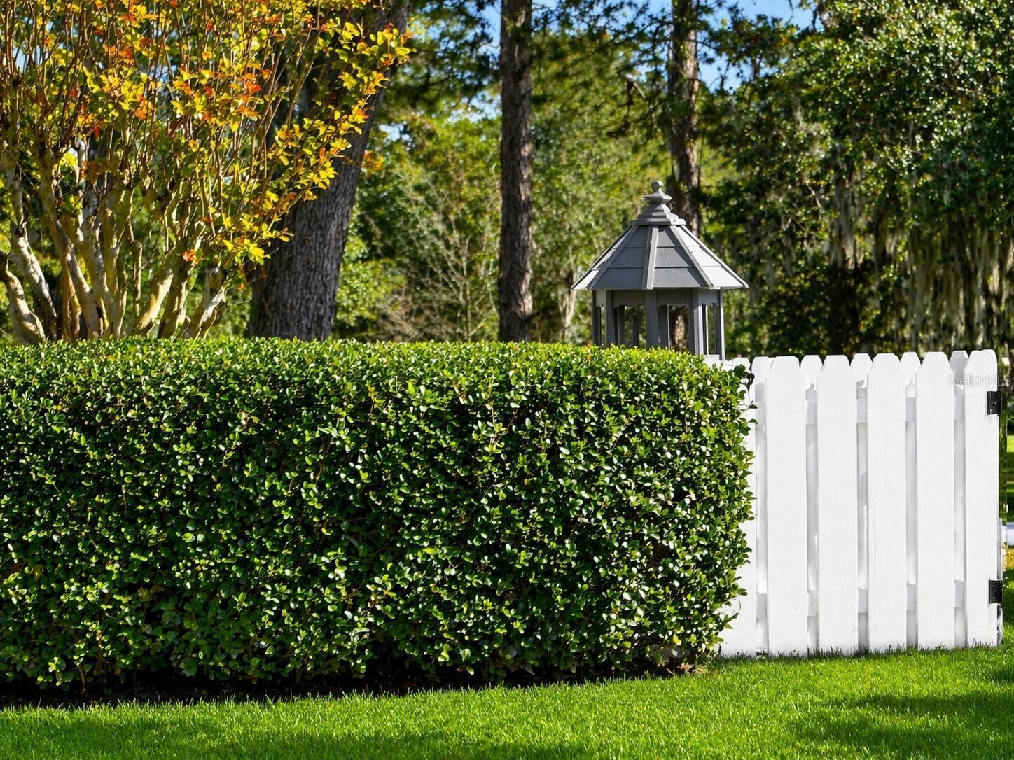 33015 SAHARA CT, SORRENTO, FL, 32776