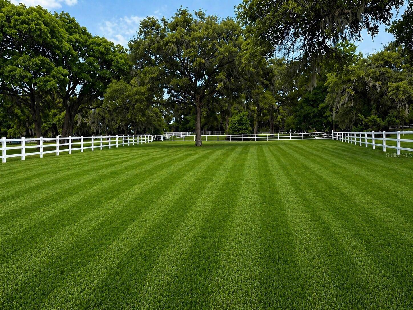 33015 SAHARA CT, SORRENTO, FL, 32776