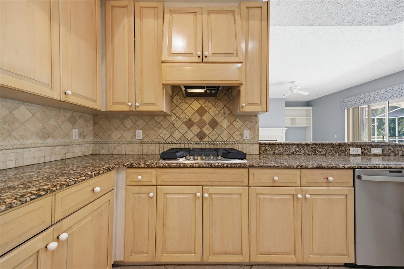 18629 AVENUE CAPRI, LUTZ, FL, 33558