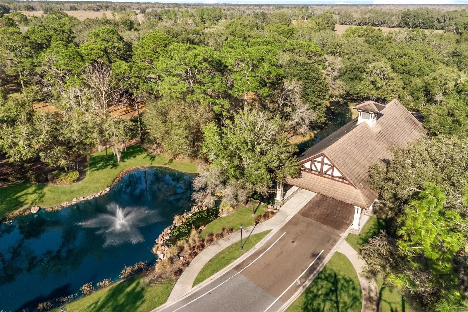 32519 HAWKS LAKE LN, SORRENTO, FL, 32776