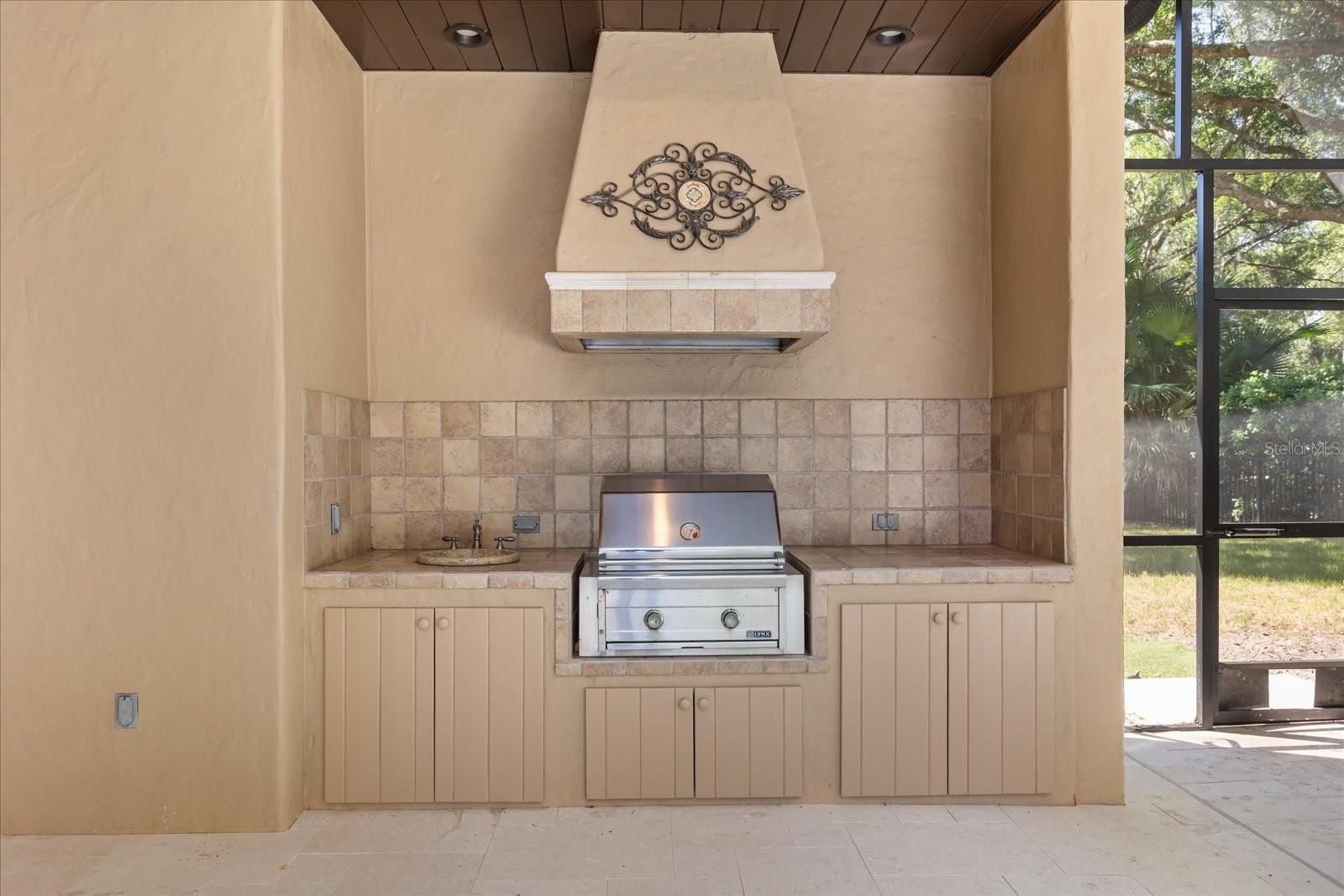 32519 HAWKS LAKE LN, SORRENTO, FL, 32776