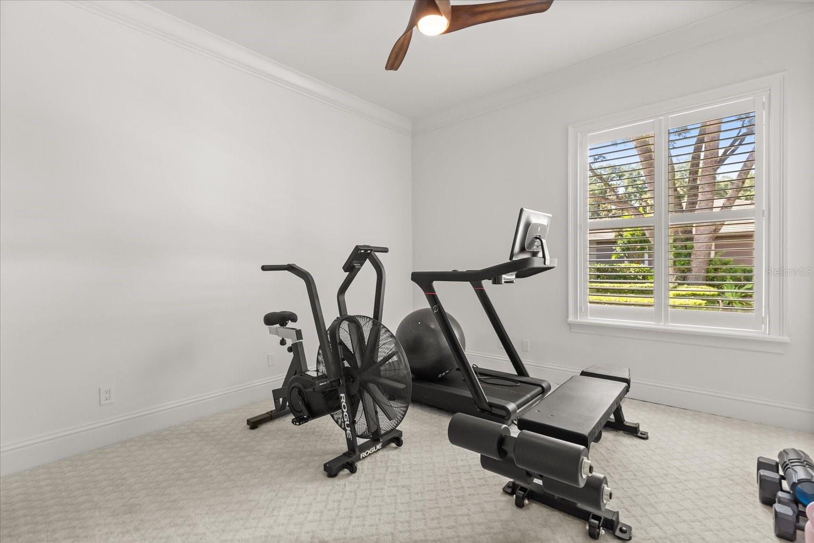 32519 HAWKS LAKE LN, SORRENTO, FL, 32776