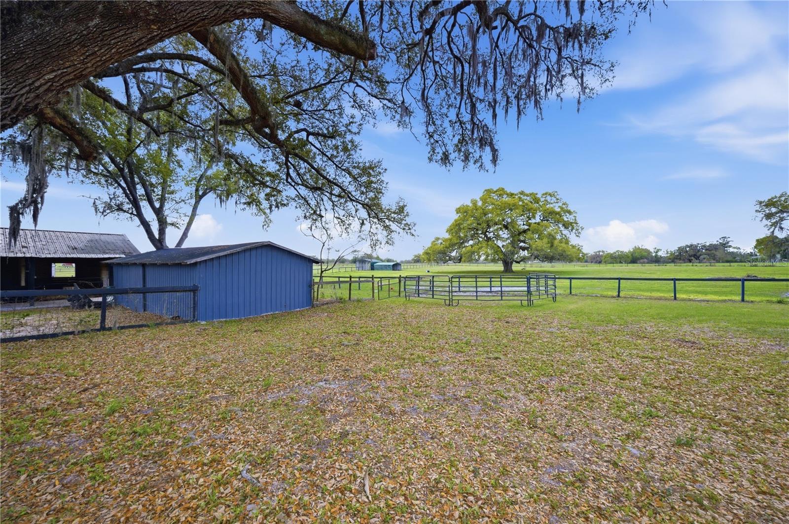 18850 SE 12TH LN, WILLISTON, FL, 32696