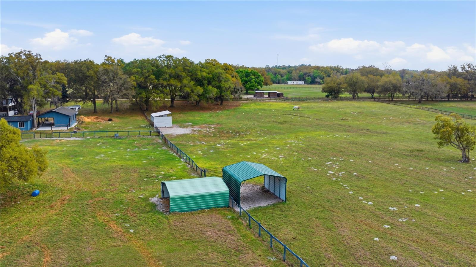 18850 SE 12TH LN, WILLISTON, FL, 32696