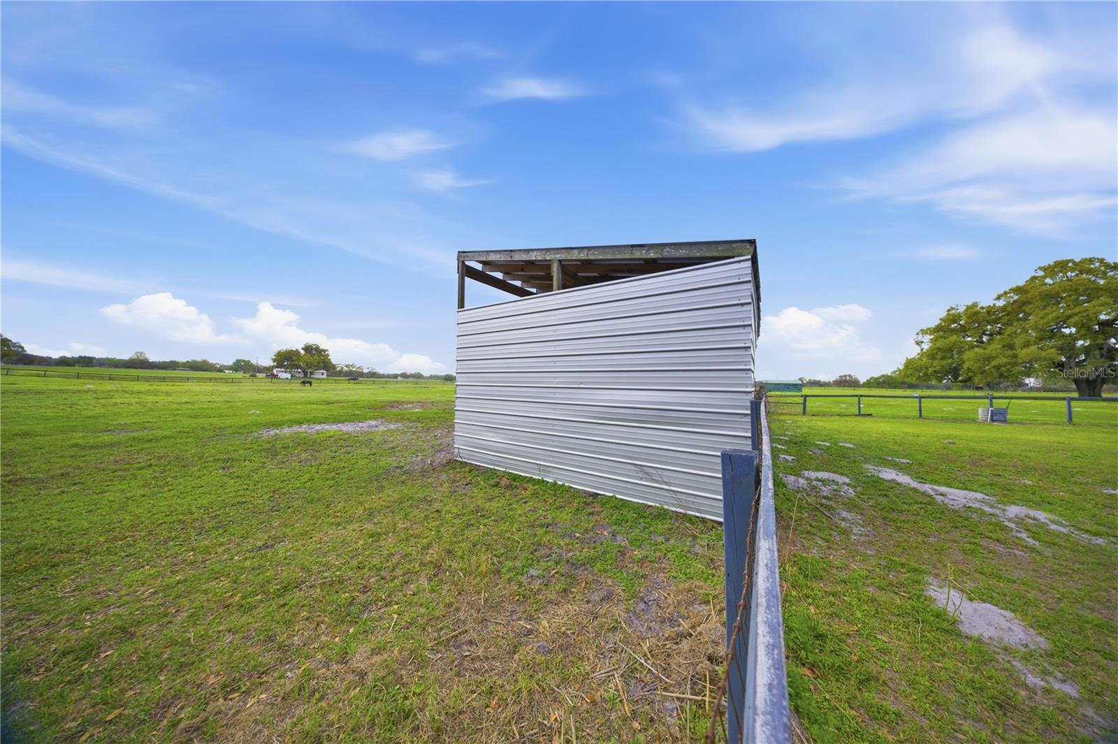 18850 SE 12TH LN, WILLISTON, FL, 32696