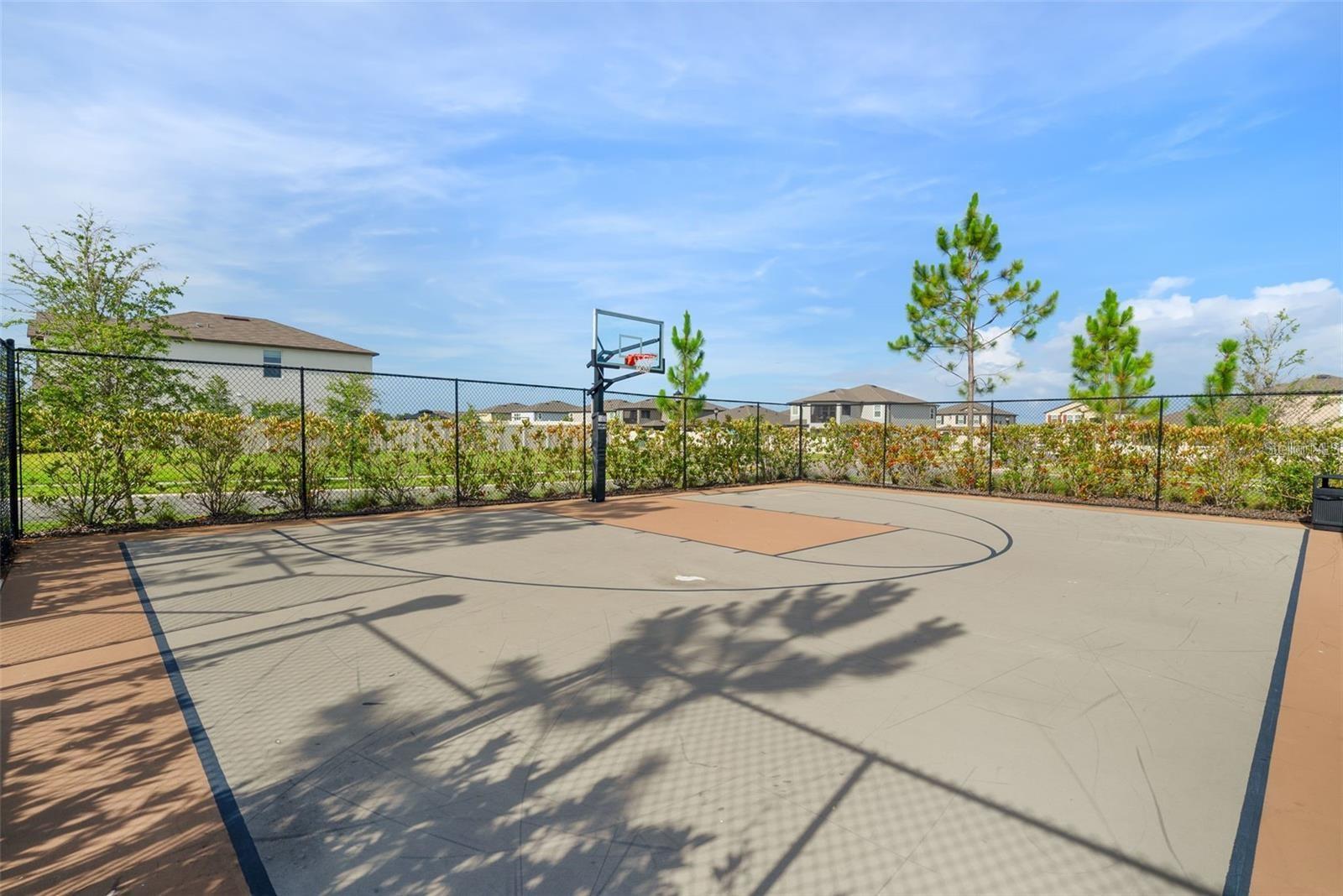 3153 OYSTER COVE ST, WIMAUMA, FL, 33598