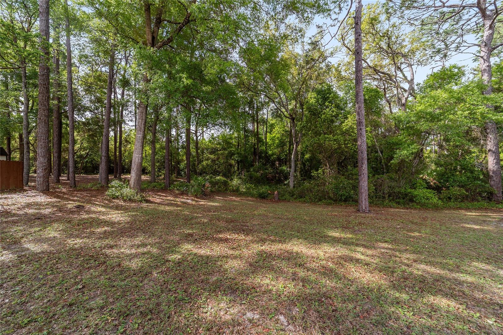 17440 SE 18TH ST, SILVER SPRINGS, FL, 34488